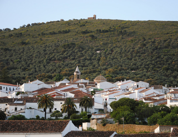 Imagen de espera